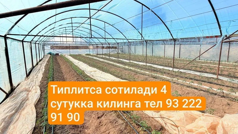 теплица 1 теплица 1