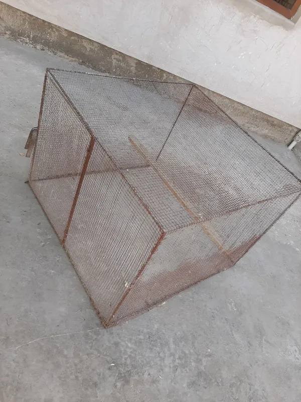 Kataklar sotiladi 2 Kataklar sotiladi 2