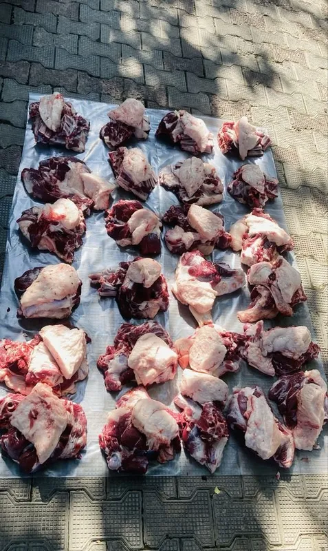 Продаются овцы и бараны 4