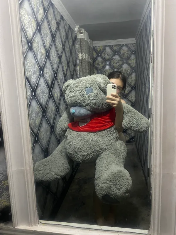 Плюшевый медведь 1 Плюшевый медведь 1