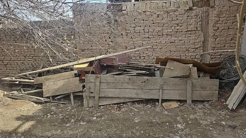 дерево для рожыга разных размеров