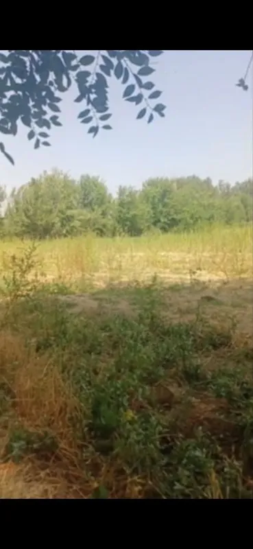 Ortacha Yer sotiladi 2 Ortacha Yer sotiladi 2