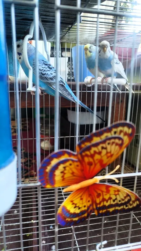 Tayor valnistila sotiladi 3 ta ishlamagan modala — фото 3