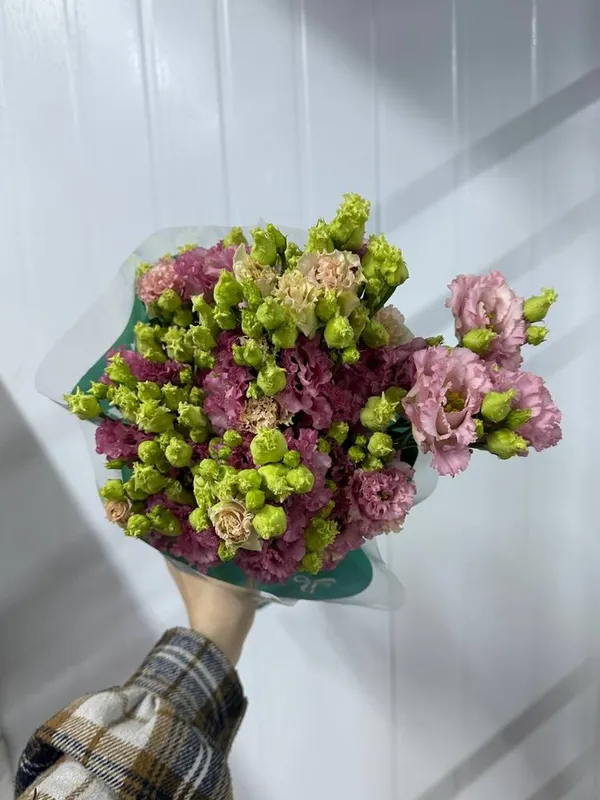 Матиолла в наличии! — фото 2