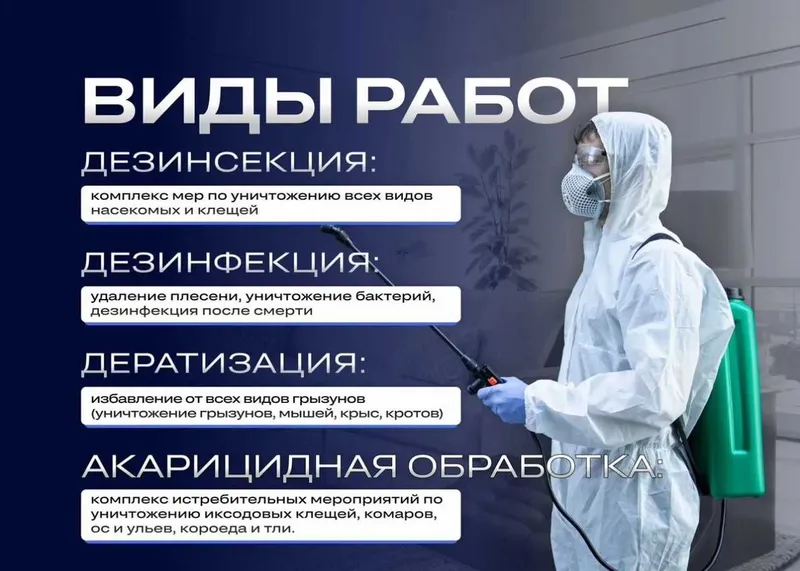 Дезинфекция от клопов тараканов крыс мышей скорпионов ос мух блох — фото 3