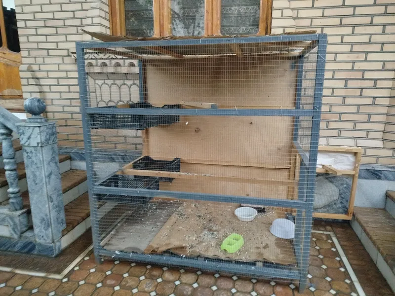 Клетка для птиц