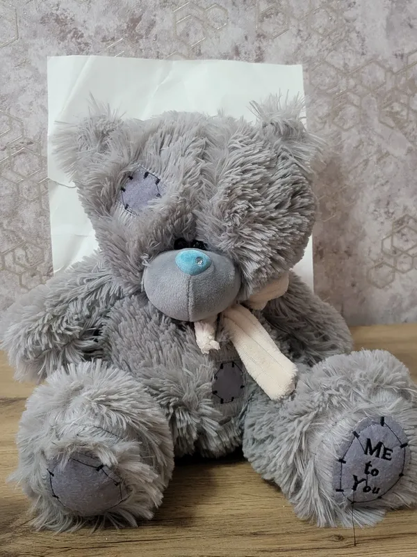 yumchoq oyinchoq Teddy bear 2 yumchoq oyinchoq Teddy bear 2