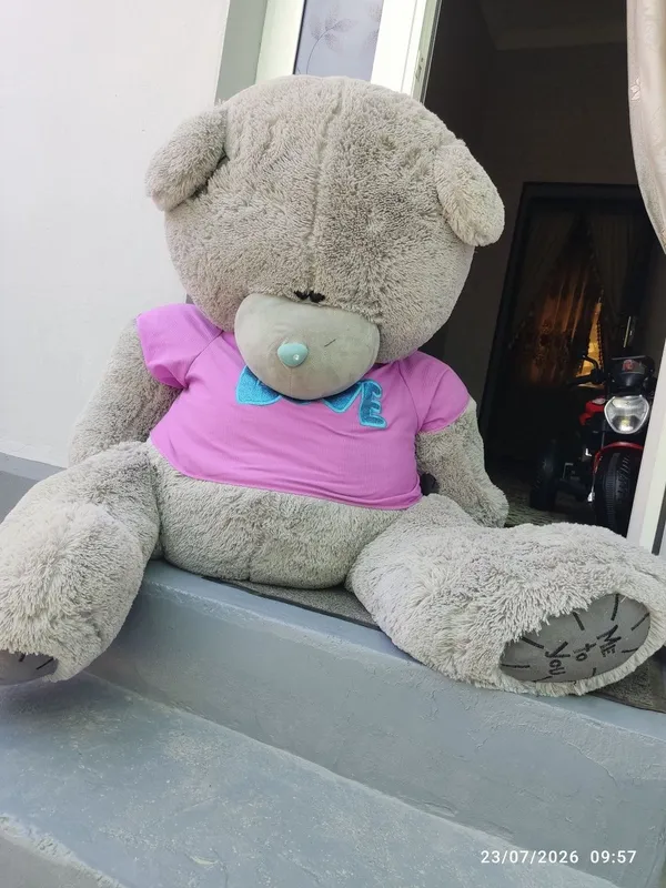 Katta ayiq teddy bear 2