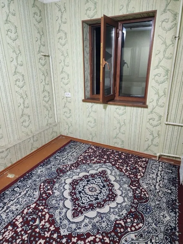 Аренда 1*2/2/5 каракамыш 1/2 сой буйи ориентир — фото 4