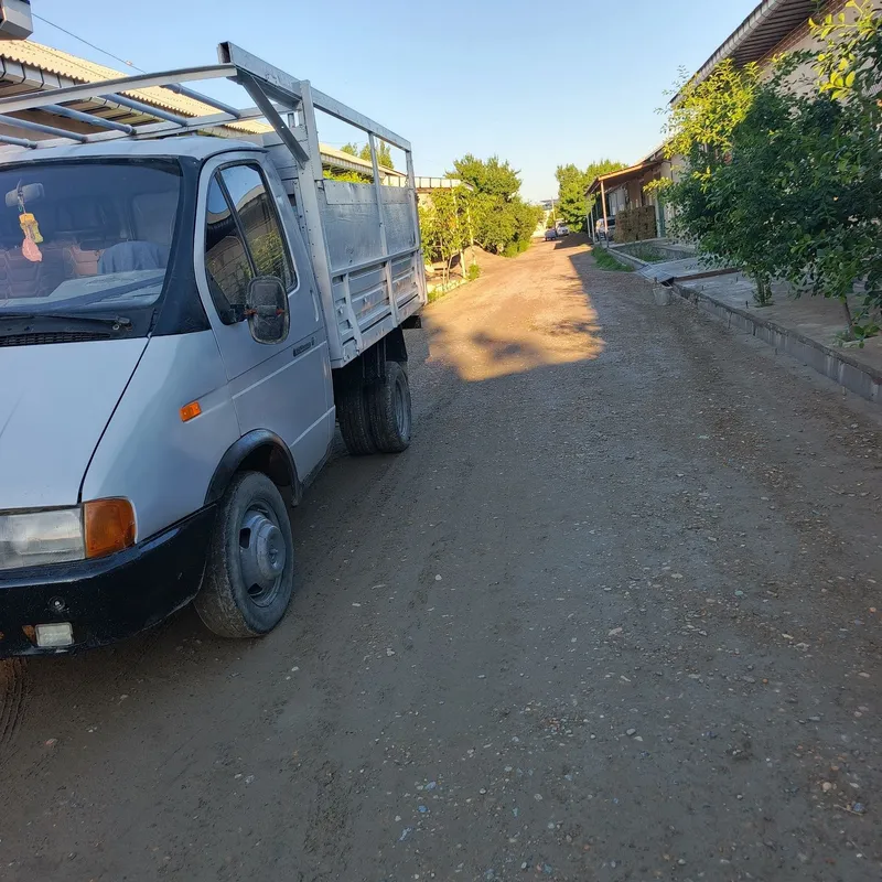 Газел бартавой змз — фото 5