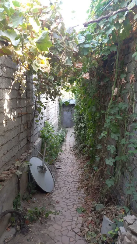 Дача в Чарваке — фото 4