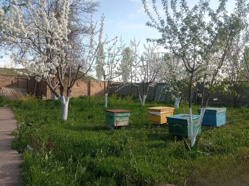 Участок площадью 7,5 сотки 3 Участок площадью 7,5 сотки 3