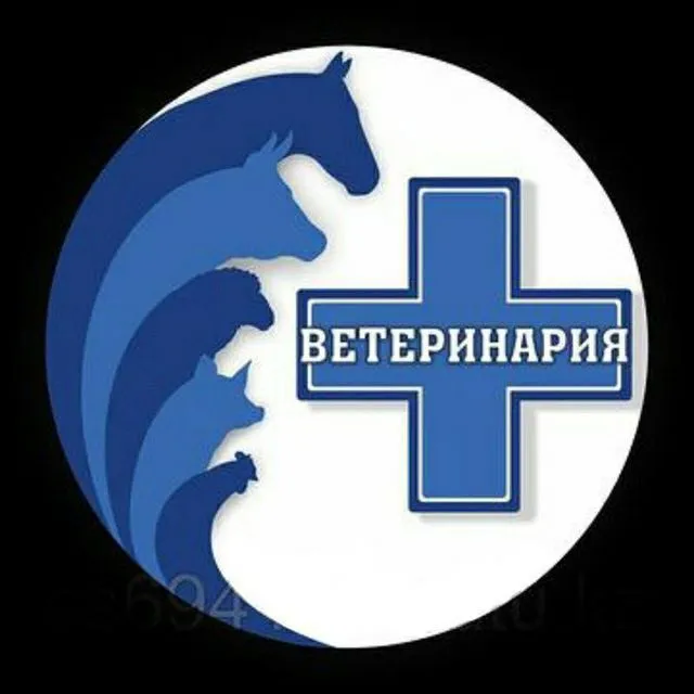 VETERINARIYA xizmati davolash