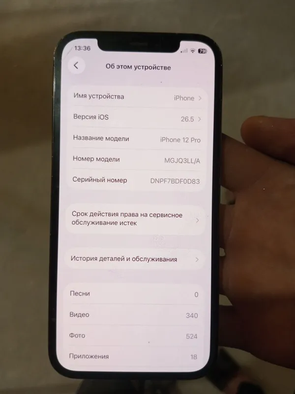 ipxone 12 pro, на задней стороне есть небольшая царапина 2
