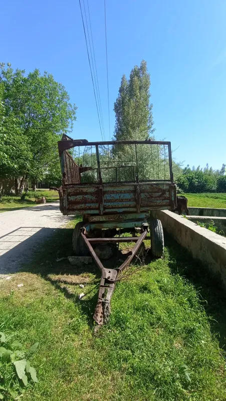 Теличка 1 Теличка 1