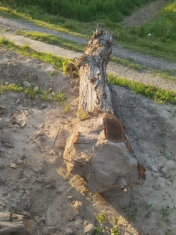Енгок сотилади карватга — фото 2