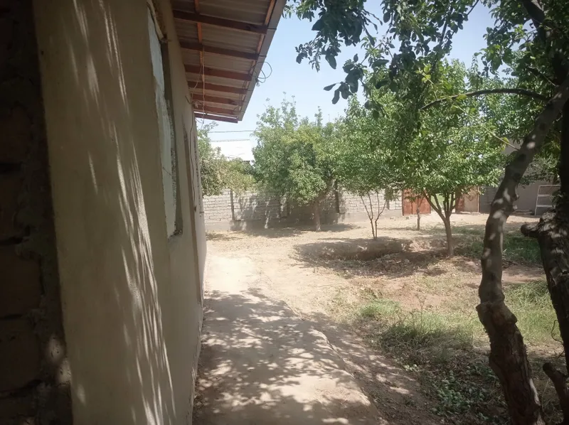 Aralovul mahallasidan 6 sutikli uchastka sotiladi, — фото 2