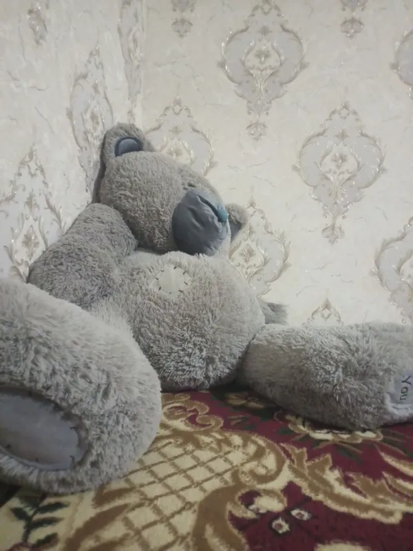 katta tedy ayiq 3