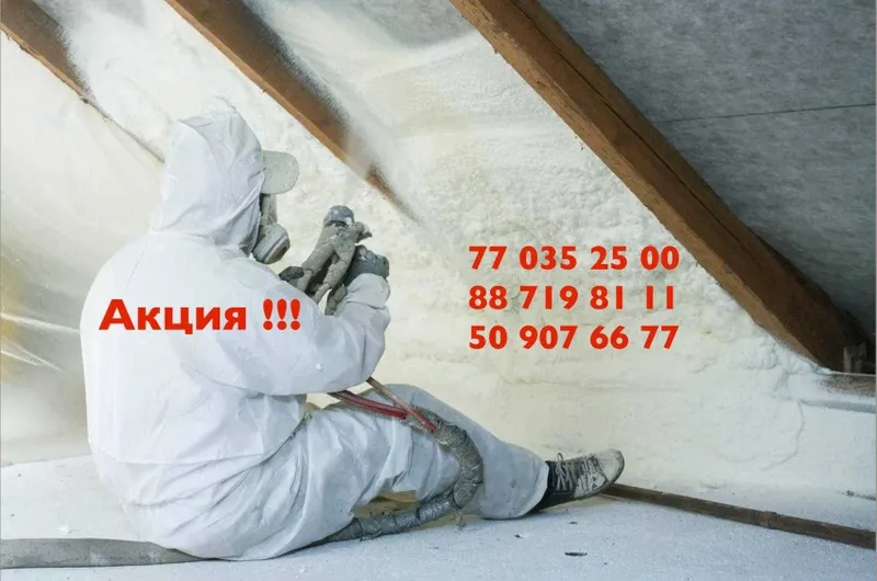 Профессионал PPU пена сепиш хизмати
