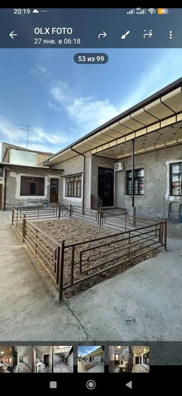 Perila Hitek tsyyor