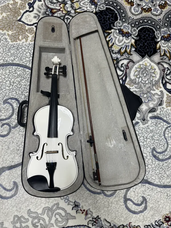 Skripka (violin)