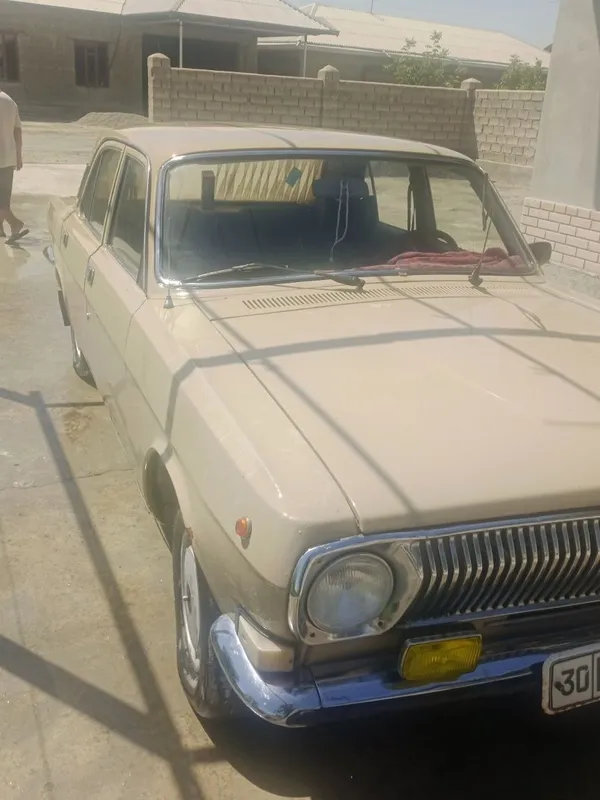 Volga 24 holati yaxwi