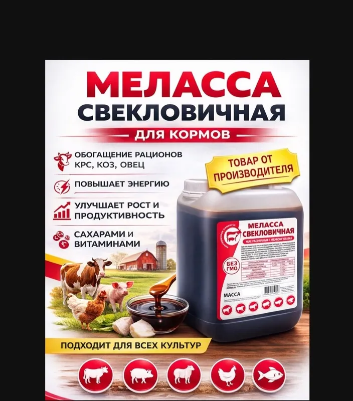 Melassa кг 4000сум сифатига жавоб — фото 4