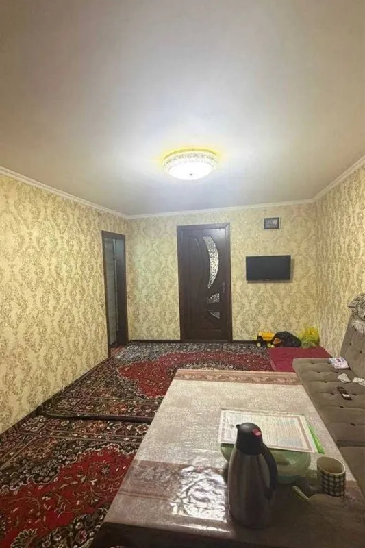 Срочно!!! Сааниф ТТЗ 2в3/1/2, Нодир 1 Срочно!!! Сааниф ТТЗ 2в3/1/2, Нодир 1