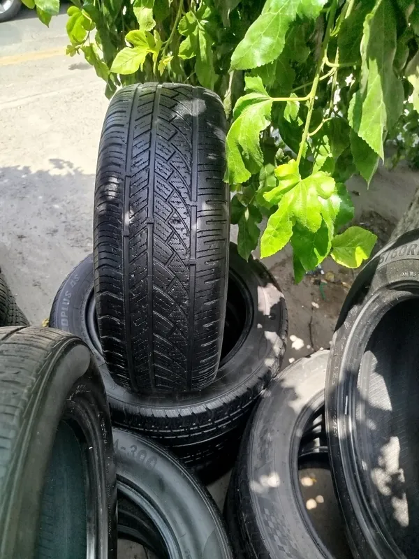 15 balonla bu hammasi zor holata 1 15 balonla bu hammasi zor holata 1