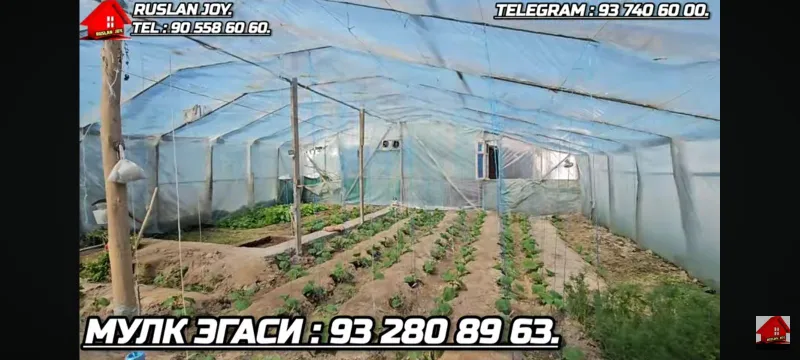 Hovli joy sotiladi. 1 kavatli 650m² — фото 7