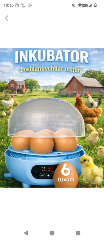 Продаётся инкубатор, новый