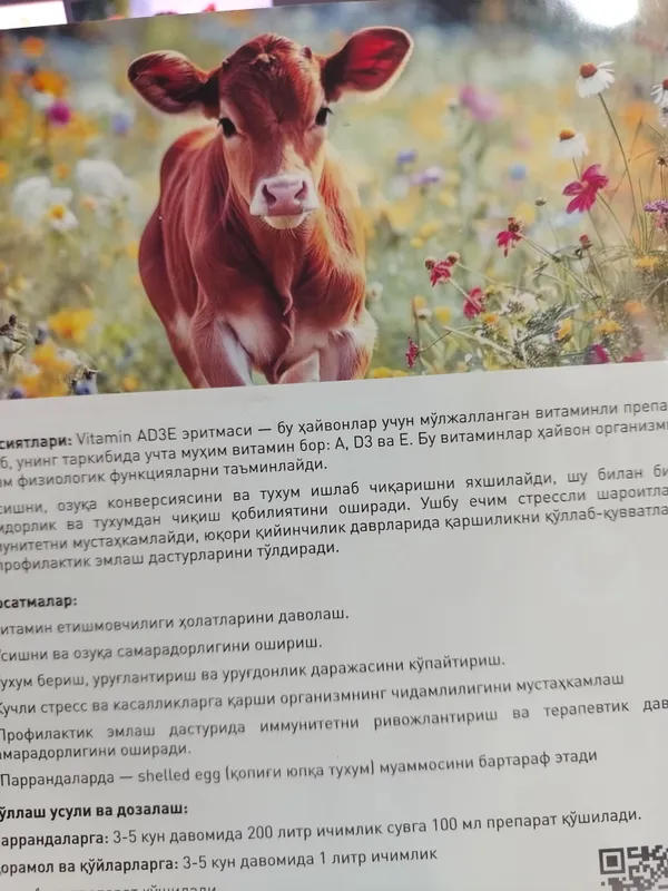 Услуги графического дизайнера 2