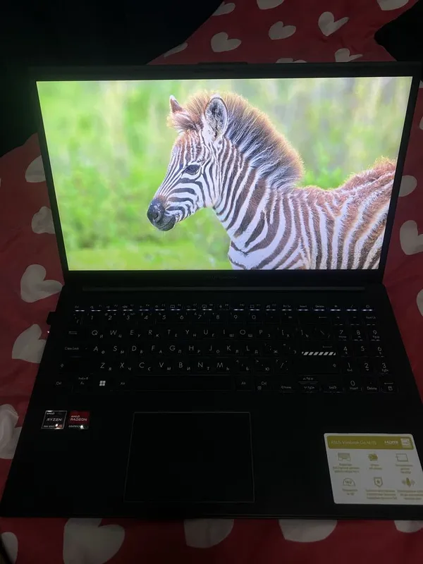 Asus vivobook Go 14/15 — фото 3