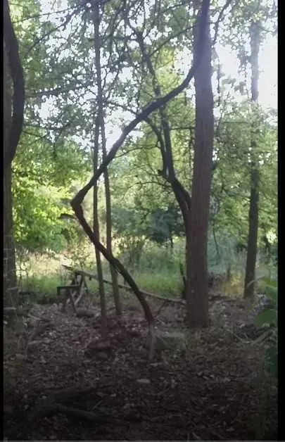 участка сотилади — фото 1