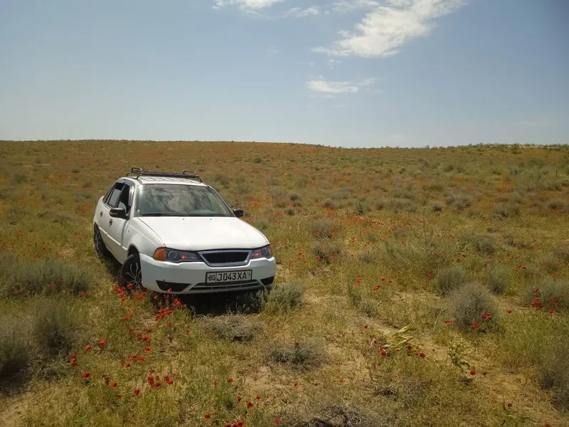 Nexia 1 xolati zoʻr 3