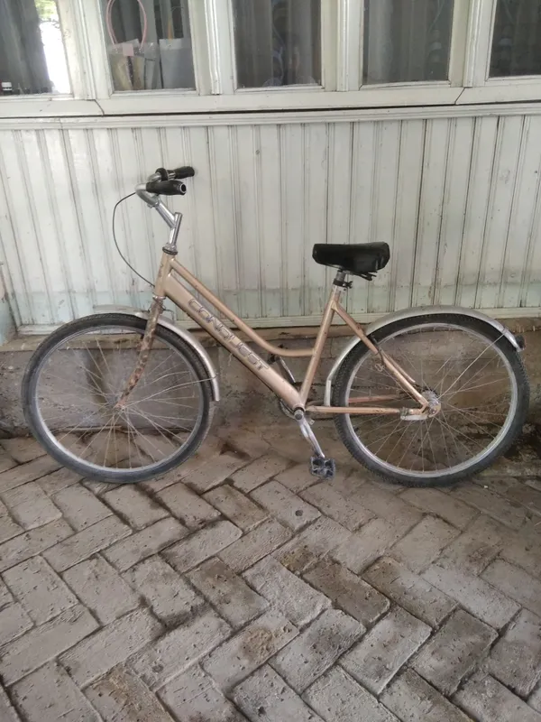 Velisapet
