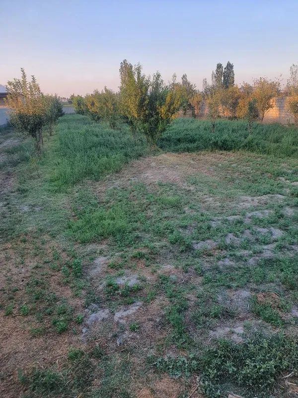 Uchaska kadastir bor 2 Uchaska kadastir bor 2