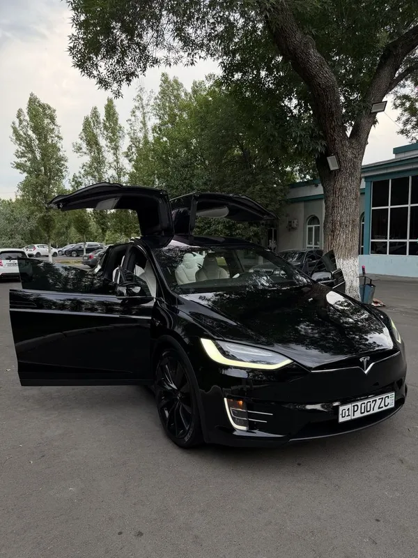 Tesla Model X Perfomance Americanka — фото 1