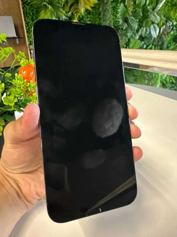 iPhone 13 Pro Max 128Gb 76% 2