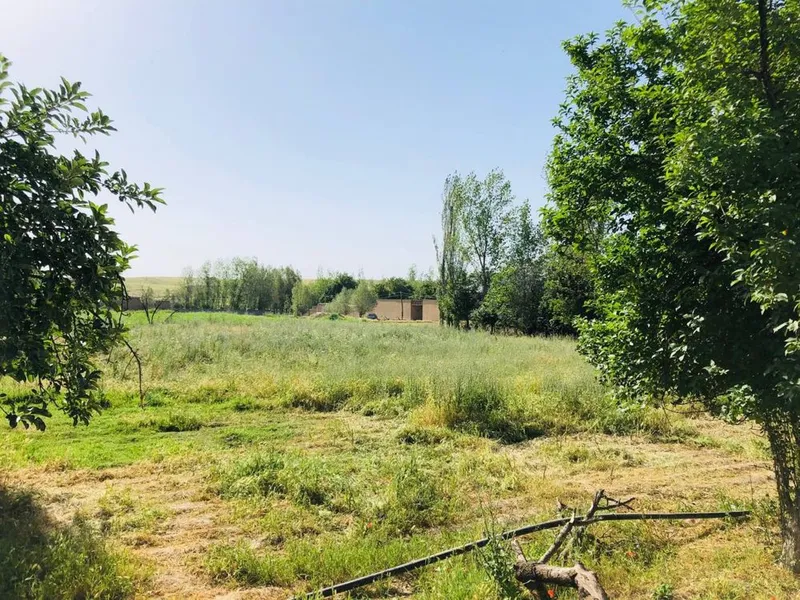 HOVLI SOTILADI 24sotix 8xonali yashashga tayyor 4