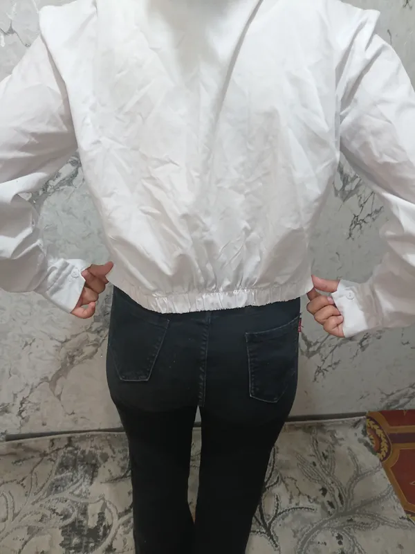 шим 2