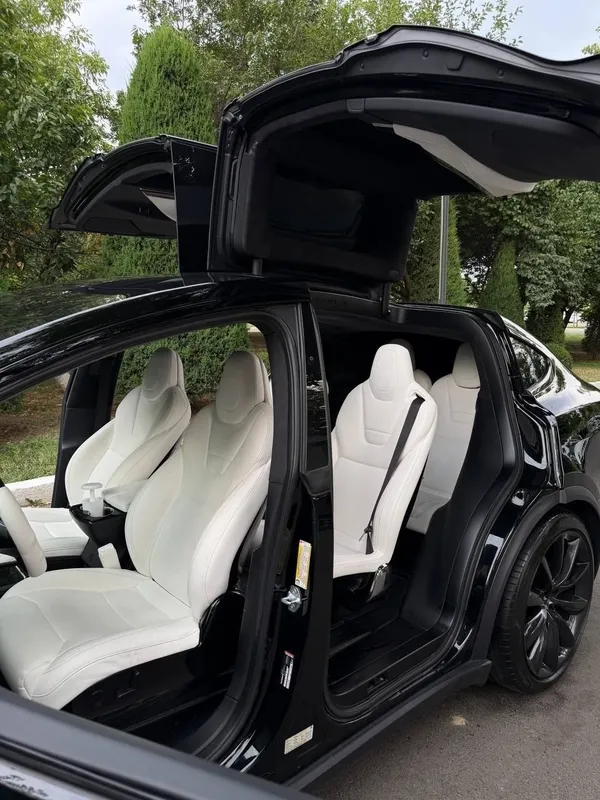 Tesla Model X Perfomance Duall Motor 4