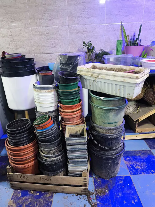 Продаю перевозочные горшки 3