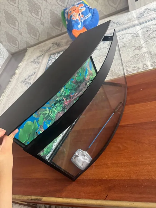 Akvarium Akvarium