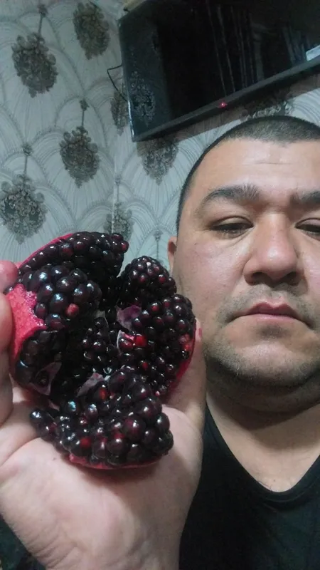 Катта дарат мевали кучатлар 3/8 ёшгача ишонарли сортлар сотувда — фото 4