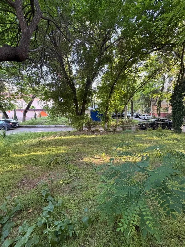 Срочно Продается Под Нежилое Ц4 Алайский Ардус кафе — фото 1
