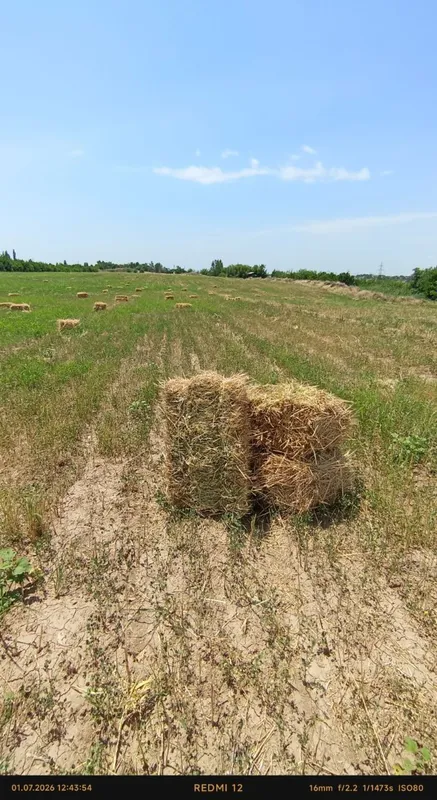 Peda aralash xashek pres bor srochna sotiladi mol va otlarga yaraydi 1