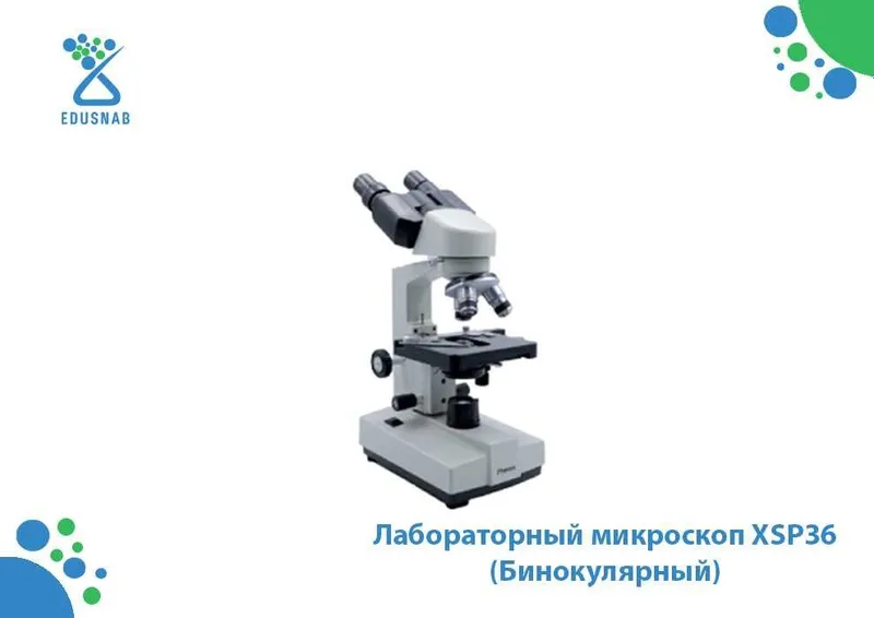 Лабораторный микроскоп XSP36 (Бинокулярный)