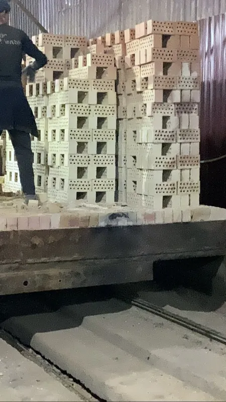 Sfatli pishgan gisht bor 4