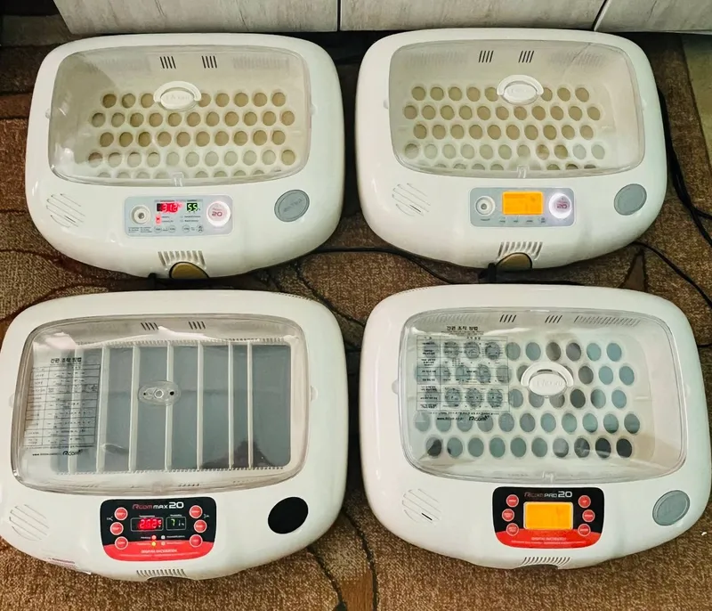 Incubatorlar original koreyski 5